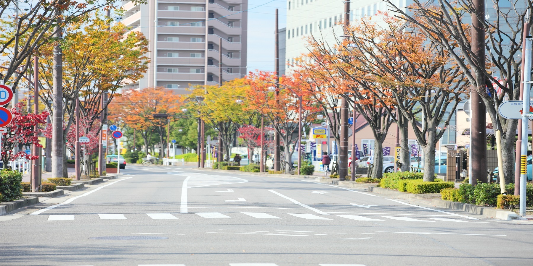 画像：紅葉の北名古屋市の町並み
