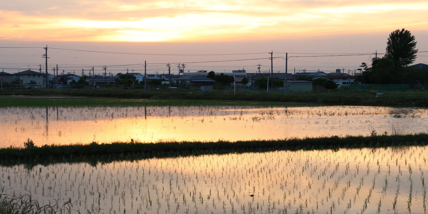 画像：北名古屋市の田園風景