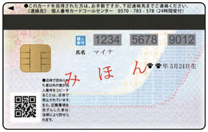 写真：個人番号(マイナンバー)カード裏