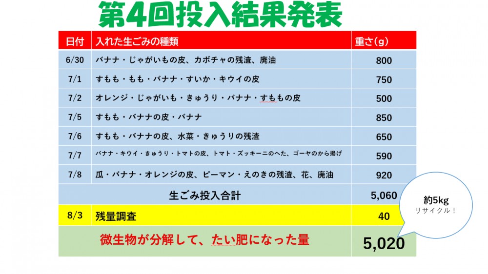 イラスト：第4回投入結果