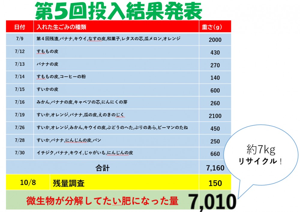 イラスト：第5回投入結果
