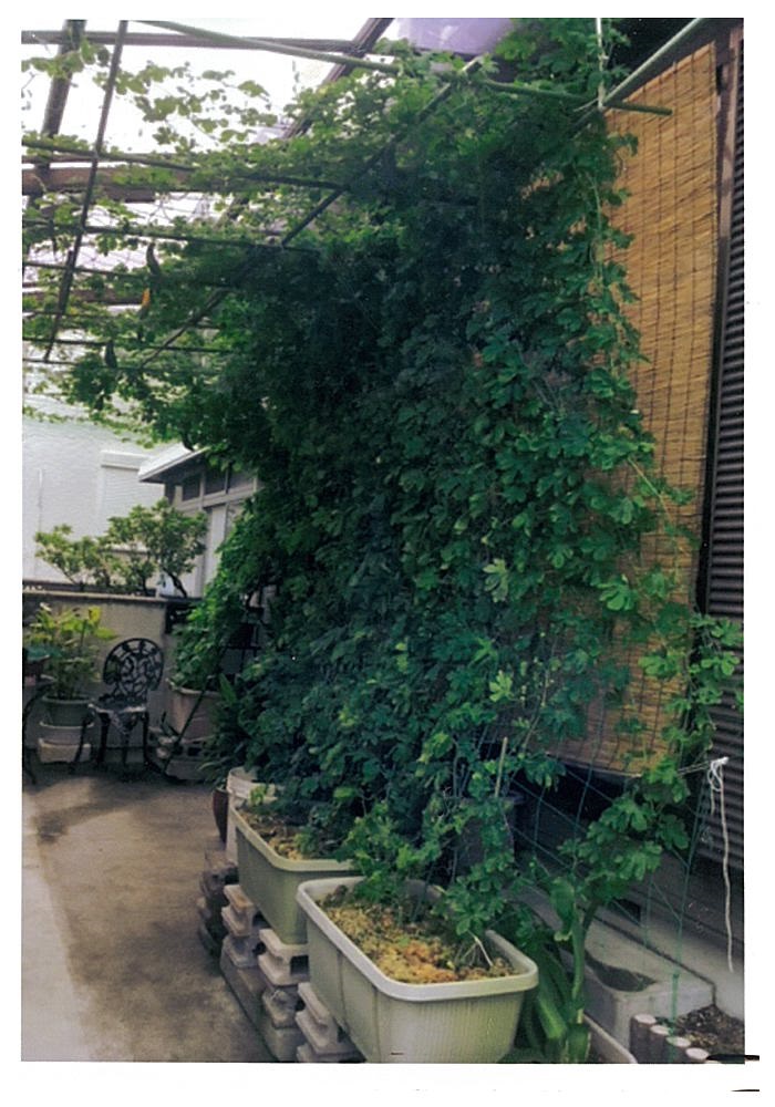 写真：チャレンジ部門 優秀賞 段治代 様