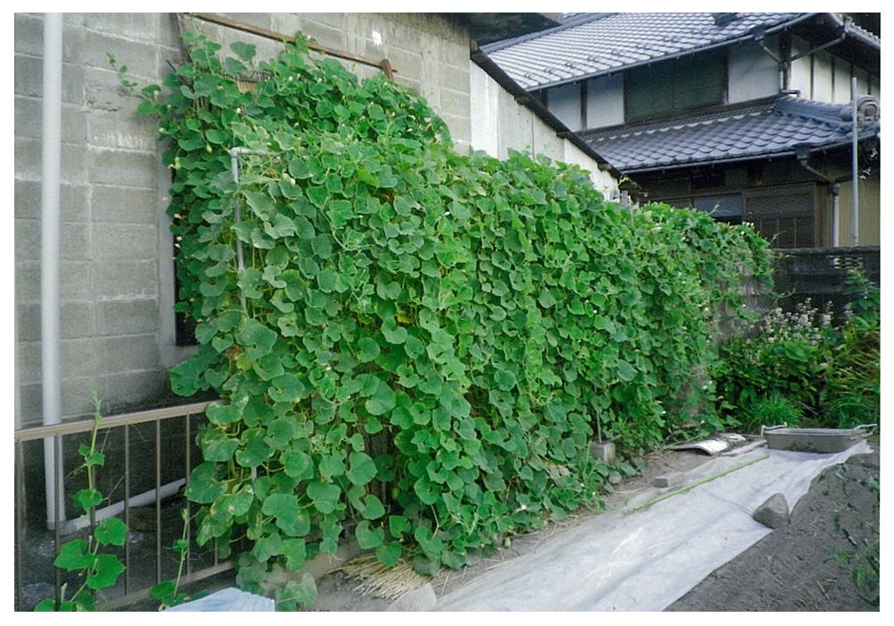 写真：チャレンジ部門 優秀賞 堀部達雄 様