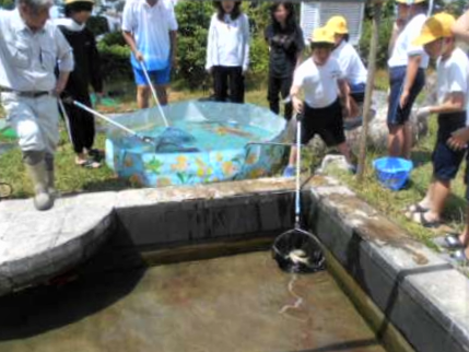 写真:白木小学校