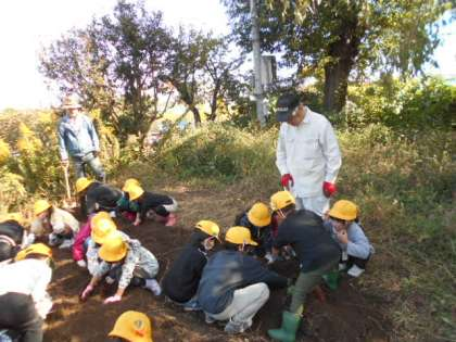 写真:白木小学校