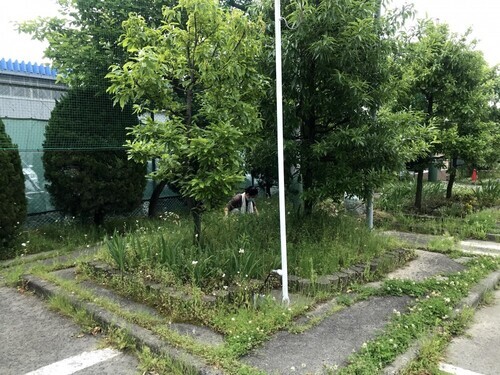 写真：園芸ボランティア