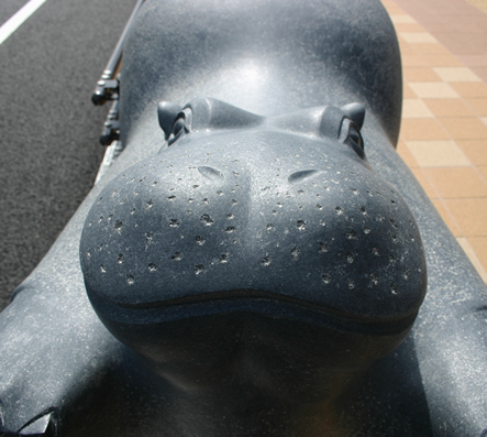 写真：夢のかなたに5