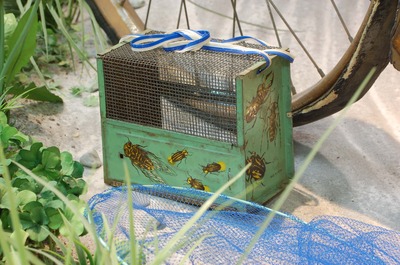 写真：虫かご