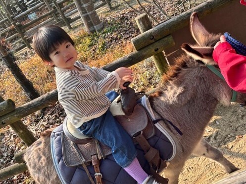 写真:到津の森公園